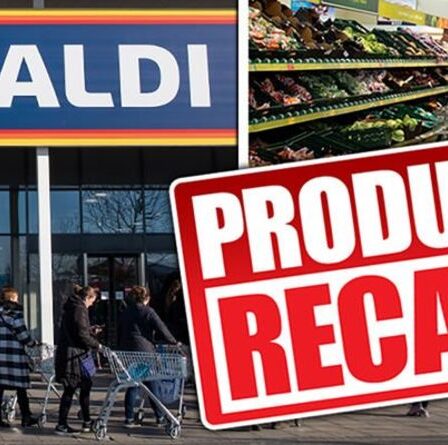Aldi rappelle d'urgence les bougies chauffe-plat solaires car les batteries pourraient surchauffer - "ne pas utiliser"