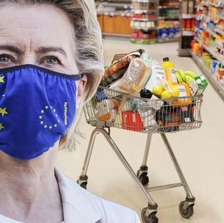 Alerte au magasin d'alimentation alors que VOTRE facture de supermarché devrait monter en flèche en raison de la bureaucratie de l'UE