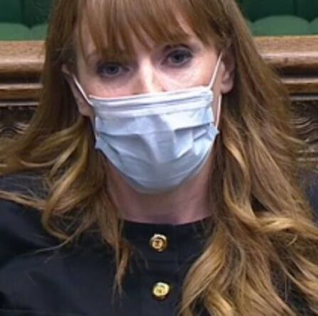 Angela Rayner a été giflée à Commons pour une enquête par courrier électronique privé: "L'affaire est réglée!"