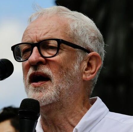 Angela Rayner sous le feu: le chef du travail fait face à un contrecoup pour avoir posé avec Jeremy Corbyn honteux