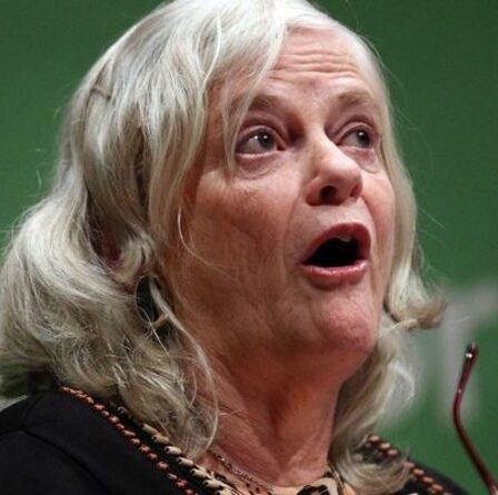 Ann Widdecombe a déclenché une explosion amère lorsque la BBC a laissé tomber la phrase: "Pas politiquement correct!"