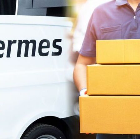 Arnaque Hermes: les acheteurs avertis d'être en "alerte élevée" alors que de faux messages circulent: "Ne payez jamais"