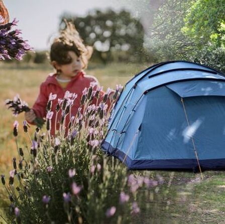 Avertissement de camping: la règle de cueillette des fleurs pourrait voir les Britanniques faire face à de «gros problèmes»
