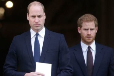 Avertissement royal: la faille de Harry et William ne sera jamais réparée tant que «la confiance ne sera pas restaurée»
