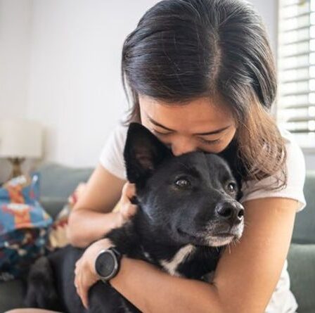 Avertissement urgent émis aux propriétaires de chiens concernant un parasite mortel - tous les symptômes