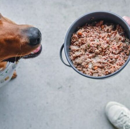 Barclays Entrepreneur Awards pour présenter les entreprises qui transforment leurs secteurs et leur société