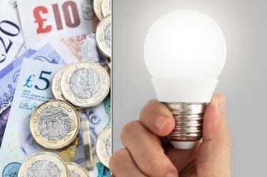 "Beaucoup plus cher": la facture d'éclairage des Britanniques de 2 milliards de livres sterling en raison de l'interdiction des ampoules halogènes "gimmick"