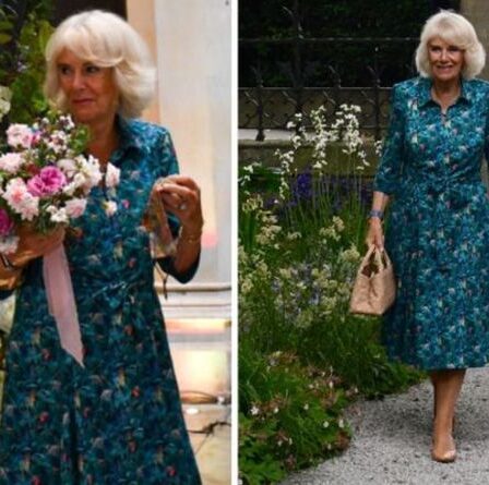 'Beautiful' Camilla étourdit dans une robe à imprimé jungle unique pour sa dernière sortie en solo