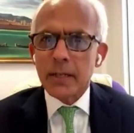 Ben Habib dénonce l'hypocrisie des revendications anti-Brexiteer après une énorme erreur d'immigration de l'UE