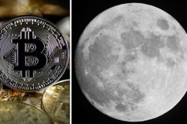 Bitcoin sera envoyé sur la Lune dans une course rivale avec les plans Dogecoin d'Elon Musk