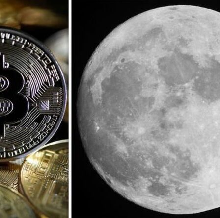 Bitcoin sera envoyé sur la Lune dans une course rivale avec les plans Dogecoin d'Elon Musk