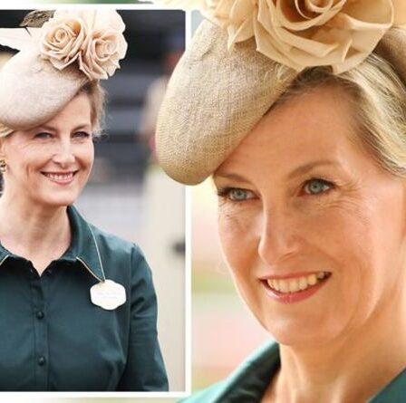 'Bold': Sophie Wessex en robe à imprimé palmiers et talons nude pour le Royal Ascot Ladies Day