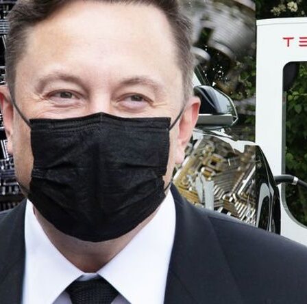 Bombe Bitcoin: Tesla pourrait recommencer à accepter Bitcoin - Musk en pourparlers avec des mineurs