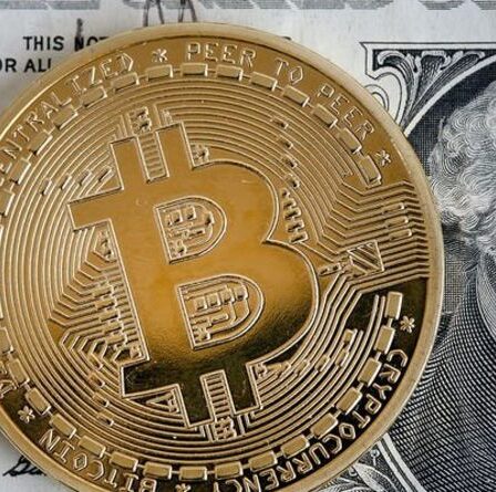 Boom du Bitcoin soutenu: la crypto-monnaie va « plus haut » et « mainstream » malgré la crise