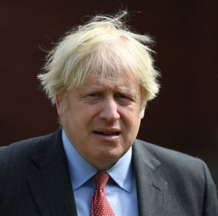 Boris a remis l'avertissement du parti REVOLT par un initié conservateur - "jamais rien vu de tel!"
