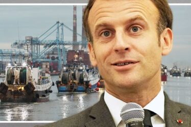 Bouffée d'air frais!  La France se réjouit alors que le Royaume-Uni cède devant l'UE - les pêcheurs pilleront le poisson britannique