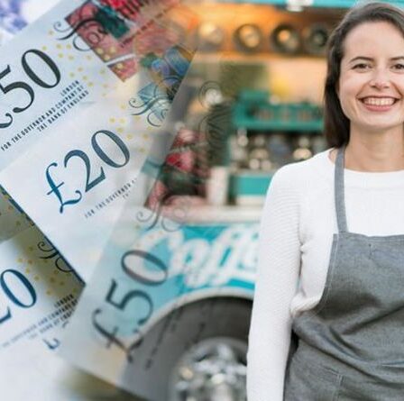 Bourse des travailleurs indépendants : à quelle date SEISS accordera-t-elle cinq ouvertures de candidatures ?