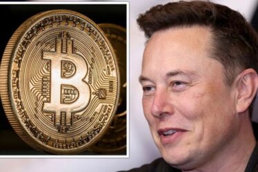 Buste de Bitcoin: Elon Musk « alarmiste » a claqué alors que le prix devrait rebondir au-dessus de 90 000 $