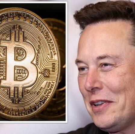 Buste de Bitcoin: Elon Musk « alarmiste » a claqué alors que le prix devrait rebondir au-dessus de 90 000 $