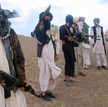 Carnage afghan alors que les talibans prennent d'assaut deux villes après que Biden a retiré ses troupes - "Panique partout"