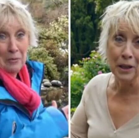 Carol Klein aborde le «privilège» de travailler sur les Great British Gardens «Assume la propriété»