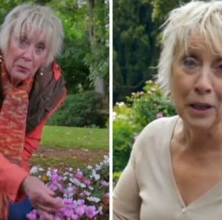 Carol Klein dénonce les conseils pour avoir «volé des terres» aux communautés «Donnez-leur plus»