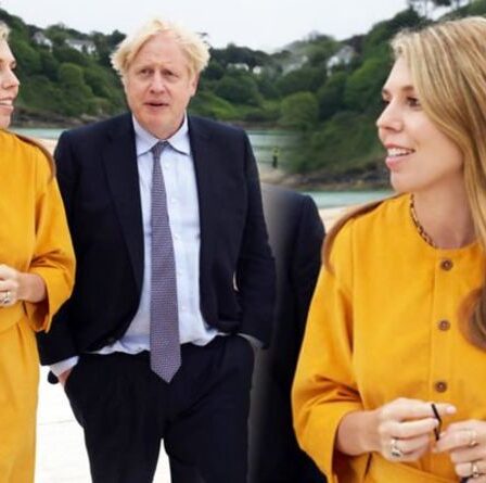 Carrie Symonds porte une robe moutarde avec Boris lors de sa première sortie depuis le mariage – cela coûte 8 £