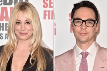 Casting de Big Bang Theory : Qui a la valeur nette la plus élevée ?
