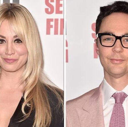 Casting de Big Bang Theory : Qui a la valeur nette la plus élevée ?