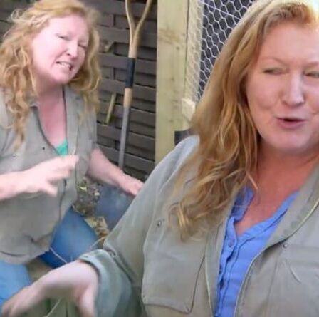 Charlie Dimmock: l'animateur de Garden Rescue, 54 ans, établit le record de la pause de carrière à la télévision