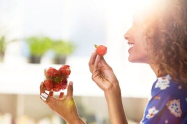 Comment empêcher les cloportes de manger des fraises - les astuces infaillibles