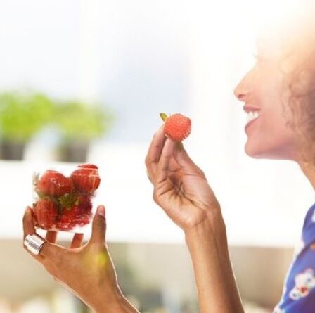 Comment empêcher les cloportes de manger des fraises - les astuces infaillibles