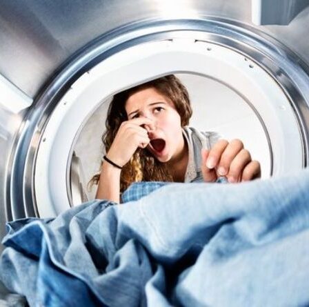 Comment se débarrasser de la moisissure du tissu - TROIS meilleures techniques