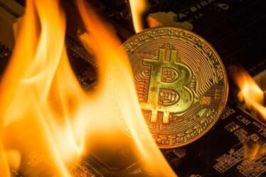 Crash de Bitcoin: les prix des crypto-monnaies chutent après l'avertissement d'arnaque de Trump - panique du marché baissier