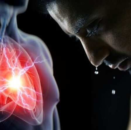 Crise cardiaque : l'événement inhabituel qui pourrait être un signe avant-coureur de votre risque