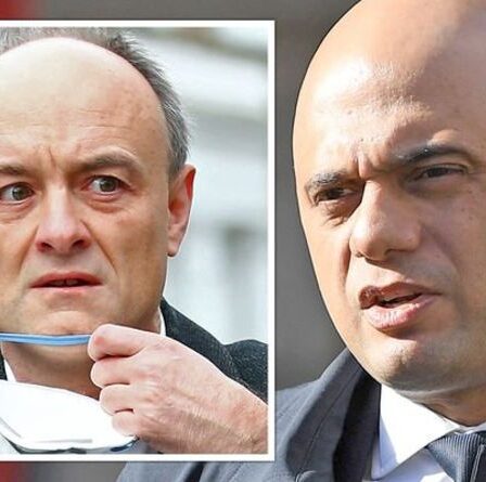 Cummings ravage le nouveau secrétaire à la Santé Sajid Javid – sera «horrible pour le NHS»