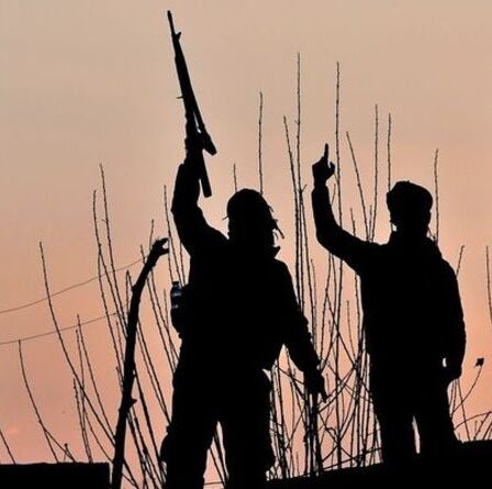 Daesh et al-Qaïda se renforcent en Afrique de l'Ouest, avertissent les agences de renseignement