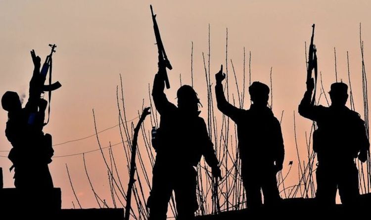 Daesh et al-Qaïda se renforcent en Afrique de l'Ouest, avertissent les agences de renseignement