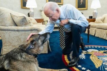 Déchirement de Joe Biden: le président et sa femme Jill disent au revoir en larmes au chien de la famille Champ