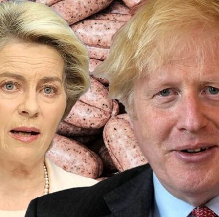 Dernier Brexit : que se passe-t-il avec le Brexit après que le Royaume-Uni et l'UE se soient mis d'accord sur un délai de grâce ?