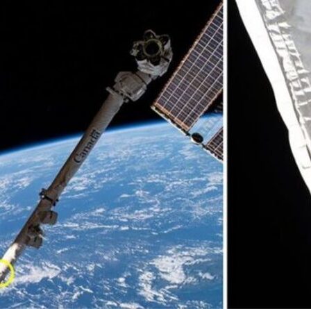 Des débris spatiaux s'écrasent sur le bras robotique de l'ISS, provoquant l'apparition d'un petit trou