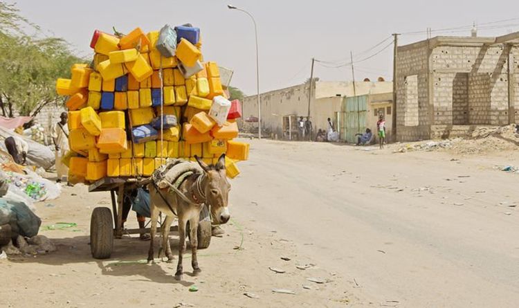 Des images déchirantes montrent le sort des ânes qui travaillent dans une ville saharienne étouffante