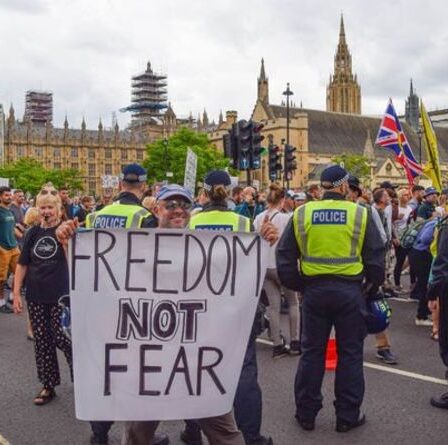 Des manifestants lancent des balles de tennis sur les bâtiments du Parlement en criant "Nous voulons retrouver notre liberté"