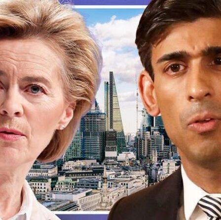 Désolé, Europe ! Rishi Sunak pousse le plan directeur pour arrêter la prise de pouvoir de la ville de l'UE dans son élan