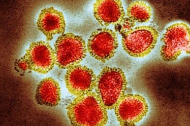 Deux souches de grippe pourraient avoir disparu grâce à la pandémie de coronavirus