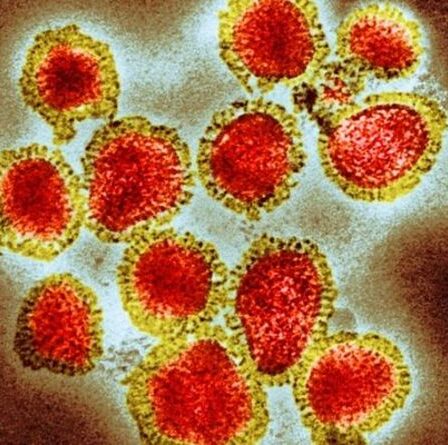 Deux souches de grippe pourraient avoir disparu grâce à la pandémie de coronavirus