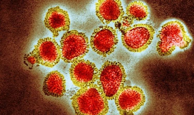 Deux souches de grippe pourraient avoir disparu grâce à la pandémie de coronavirus