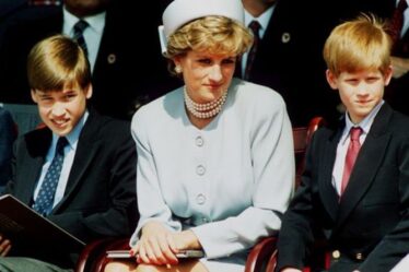 Diana chez Sixty doc affirme que " Diana aurait veillé à ce que la rupture des princes soit temporaire "