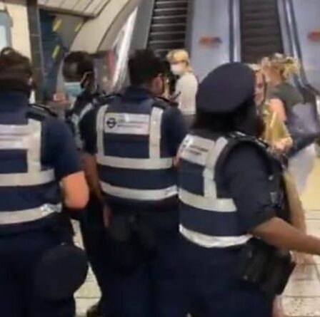 « Dix cuivres pour un homme ? »  Un ancien eurodéputé dénonce la "répression des masques" dans le métro de Londres