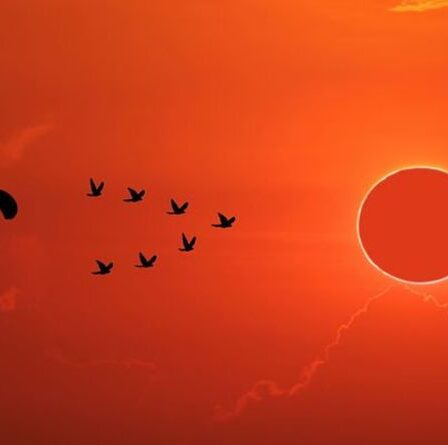 Eclipse 2021 : A quelle heure commence l'éclipse solaire ?  Ne manquez pas un incroyable 'Ring of Fire'